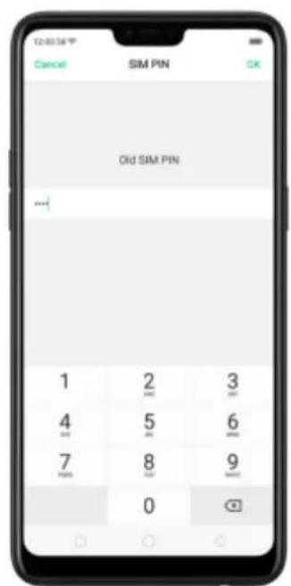 12:00 PM Cancel SIM PIN OK Old SIM PIN ... 1 2 3 4 5 6 7 8 9 0