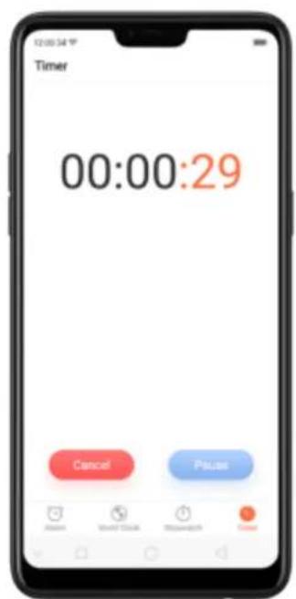 Timer 00:00:29 Cancel Pause