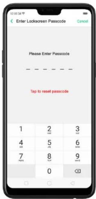 Enter Lockscreen Passcode Cancel Please Enter Passcode Tap to reset passcode 1 2 3 AM AAK AVR 4 5 6 GM JA NAE 7 8 9 PRTS TAY ASYS 0