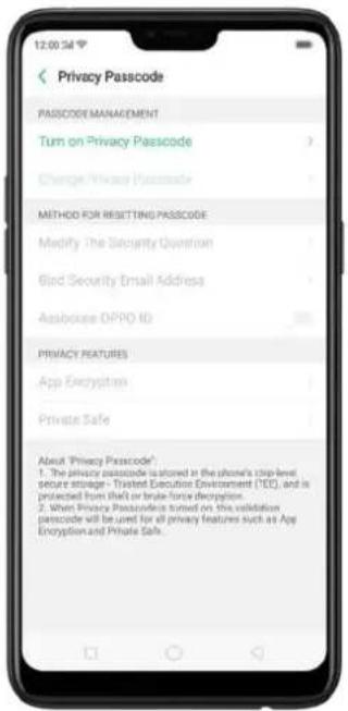 Privacy Passcode PASSCODE MANAGEMENT Turn on Privacy Passcode Change Privacy Passcode METHOD FOR RESULTING PASSCODE Modify The Security Question Bird Security Email Address Assippose OPRO ID PRIVACY FEATURES App Encryption Private Safe About Privacy Passcode* 1. The privacy passcode is stored in the phone's chip level secure stronger - Threat Executive Environment (TEC), and is protected from brief or brute-force decryption. 2. When Privacy Passcode is turned on the validation passcode will be used for all privacy features such as App Encryption and Private Safe.