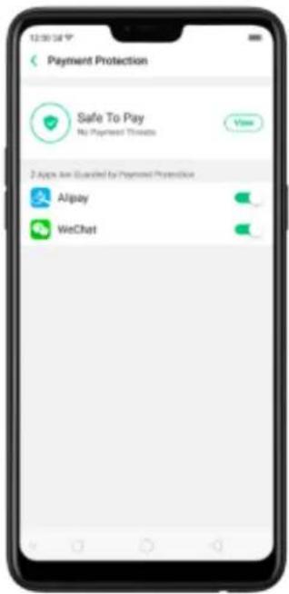 12:00:34 Payment Protection Safe To Pay No Payment Tickets 2 Apps Are Guarded by Payment Protection Alipay WeChat