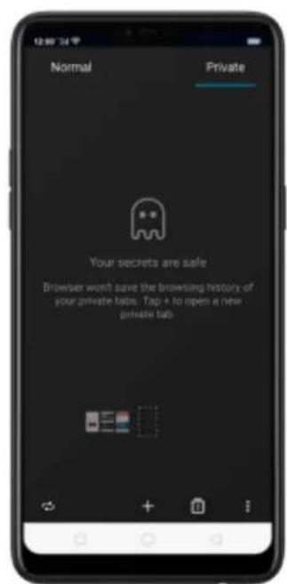 Normal Private Your secrets are safe Browser won't save the browsing history of your private keys. Tap + to open a new private tab