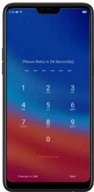 Please Retry in 24 Second(s) 1 2 3 BH 4 5 6 BH 7 8 9 POMS TAY MAY2 0 Failure Password Emergency Call Back