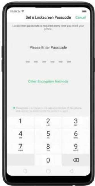 Set a Lockscreen Passcode Cancel Lockscreen passcode is required every time you start your phone. Please Enter Passcode Other Encryption Methods 1 2 3 4 5 6 7 8 9 0