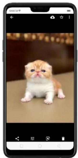 OPPO Realme 2 Pro - PlayStore page and works for images on your Google Photos): - 7