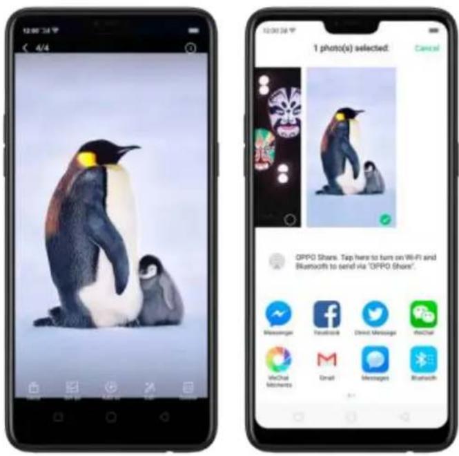12:00:36 4/4 12:00:36 1 photo(s) selected: Cancel OPPO Share. Top hws to turn on WiFi and Bluetooths to send via "OPPO Share". Messenger Facebook Direct Message WeChat M Email Messages Bluetooth