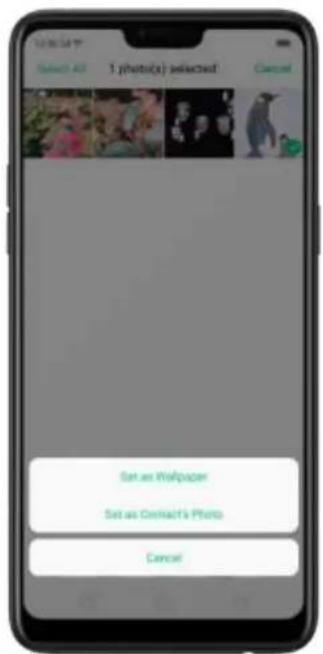1 photo(s) selected Cancel Set as Wallpaper Set as Contact's Photo Cancel