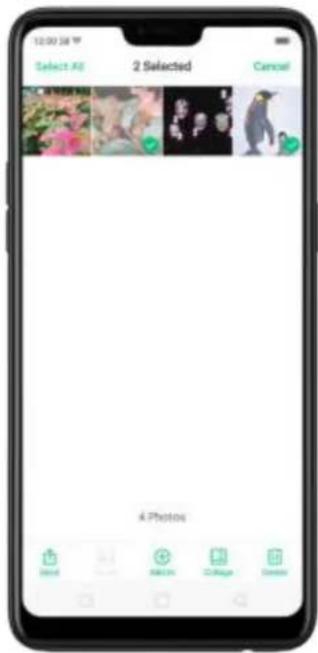 12:00:36 Select All 2 Selected Cancel 4 Photos