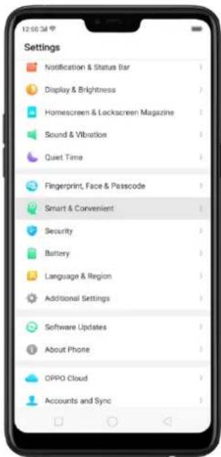 12:00 PM Settings Notification & Status Bar Display & Brightness Homemade & Lockscreen Magazine Sound & Vibration Quiet Time Fingerprint, Face & Passcode Smart & Convenient Security Battery Language & Region Additional Settings Software Updates About Phone OPPO Cloud Accounts and Sync