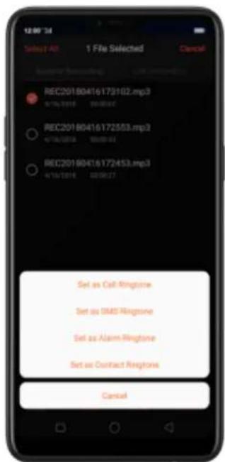 12:00 '24 Select All 1 File Selected Cancel REC20180416173102.mp3 4/16/2018 00:00:00 REC20180416172553.mp3 4/16/2018 00:00:01 REC20180416172453.mp3 4/16/2018 00:00:27 Set as Call Ringtone Set as DMS Ringtone Set as Alarm Ringtone Set as Contact Ringtone Cancel