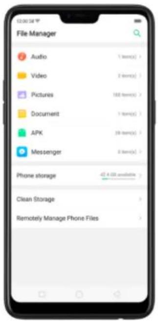 File Manager Audio 1 item(s) Video 2 item(s) Pictures 100 item(s) Document 1 item(s) APK 28 item(s) Messenger 2 item(s) Phone storage -4.6 GB available Clean Storage Remotely Manage Phone Files