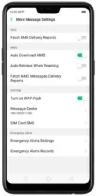 More Message Settings SMS Fetch SMS Delivery Reports SMS Auto Download MMS Auto-Retrieve When Roaming Fetch MMS Messages Delivery Reports SYSTEM Turn on WAP Push Message Center +8013665411.800 SIM Card SMS Emergency Alerts Emergency Alerts Settings Emergency Alerts Records