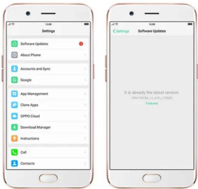 Settings Software Updates About Phone Accounts and Sync Google App Management Clone Apps OPPO Cloud Download Manager Instructions Call Contacts Settings Software Updates It is already the latest version. OPW170750.1.1.A01.170523 Features
