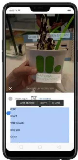 12:00 PM Scan to with G Cash! NATURAL WROZEN KASH! Google Lens preview Web SEARCH COPY SHARE 0000 Scant. With iCash! using you Quick