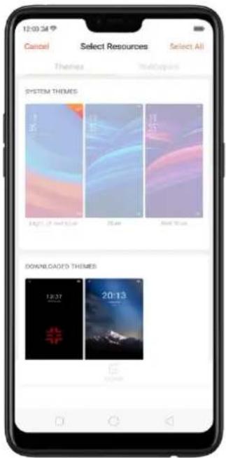 12:00:34 Cancel Select Resources Select All Themes MakeCopyright SYSTEM THEMES Light 25 Hard White 25.44 Hard White DOWNLOADED THEMES 12:37 20:13