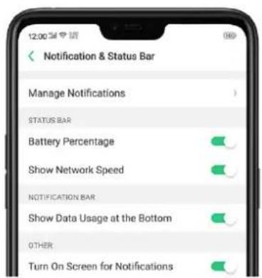 12:00 Notification & Status Bar Manage Notifications STATUS BAR Battery Percentage Show Network Speed NOTIFICATION BAR Show Data Usage at the Bottom OTHER Turn On Screen for Notifications