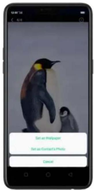 Set as Wallpaper Set as Contact & Photo Cancel