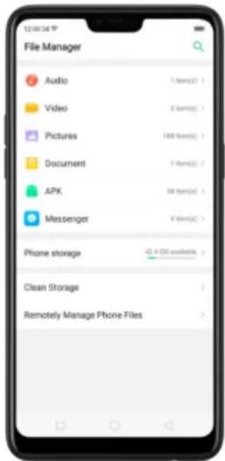 File Manager Audio Video Pictures Document APK Messenger Phone storage Clean Storage Remotely Manage Phone Files