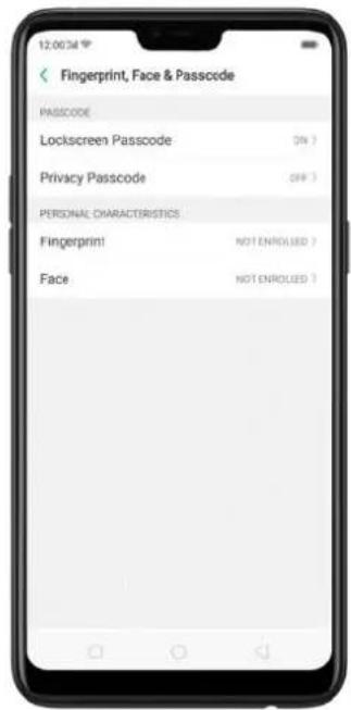 12:00:34 Fingerprint, Face & Passcode PASSCODE Lockscreen Passcode ON > Privacy Passcode OFF > PERSONAL CHARACTERISTICS Fingerprint NOT ENROLLED > Face NOT ENROLLED >