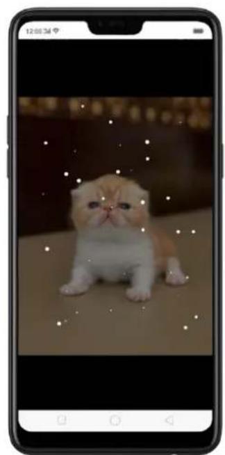OPPO Realme 2 Pro - PlayStore page and works for images on your Google Photos): - 8