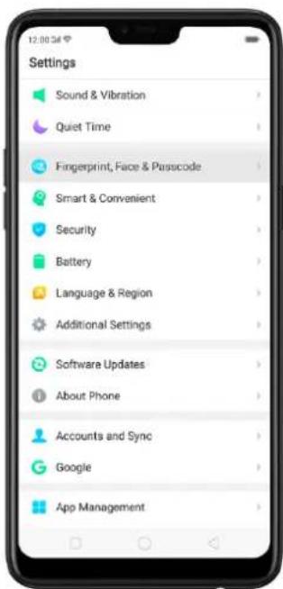 Settings Sound & Vibration Quiet Time Fingerprint, Face & Passcode Smart & Convenient Security Battery Language & Region Additional Settings Software Updates About Phone Accounts and Sync Google App Management