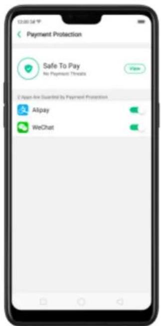 Payment Protection Safe To Pay No Payment Threats View 2 App-Rev Guarded by Payment Protection Alipay WeChat