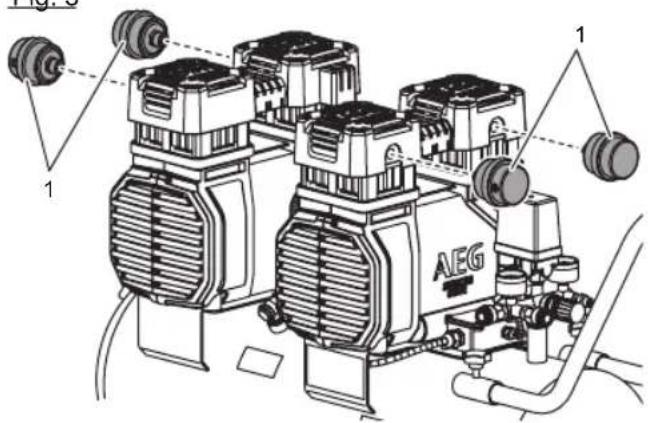 1 1 AEG