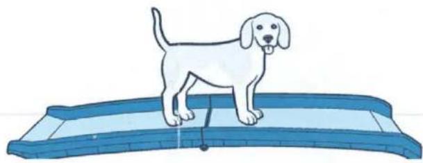 PETSAFE Happy Ride Folding Pet Ramp - Happy Ride™ FOLDING DOG RAMP - 2