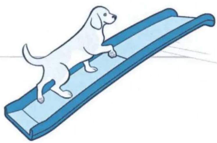 PETSAFE Happy Ride Folding Pet Ramp - Let's give your buddy a leg up on adventure. - 2