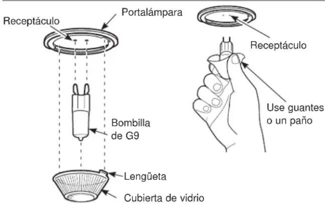 Receptáculo Portalámpara Bombilla de G9 Lengüeta Cubierta de vidrio Receptáculo Use guantes o un paño