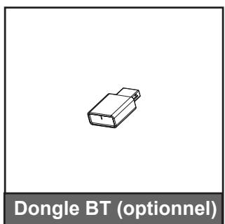 Dongle BT (optionnel)