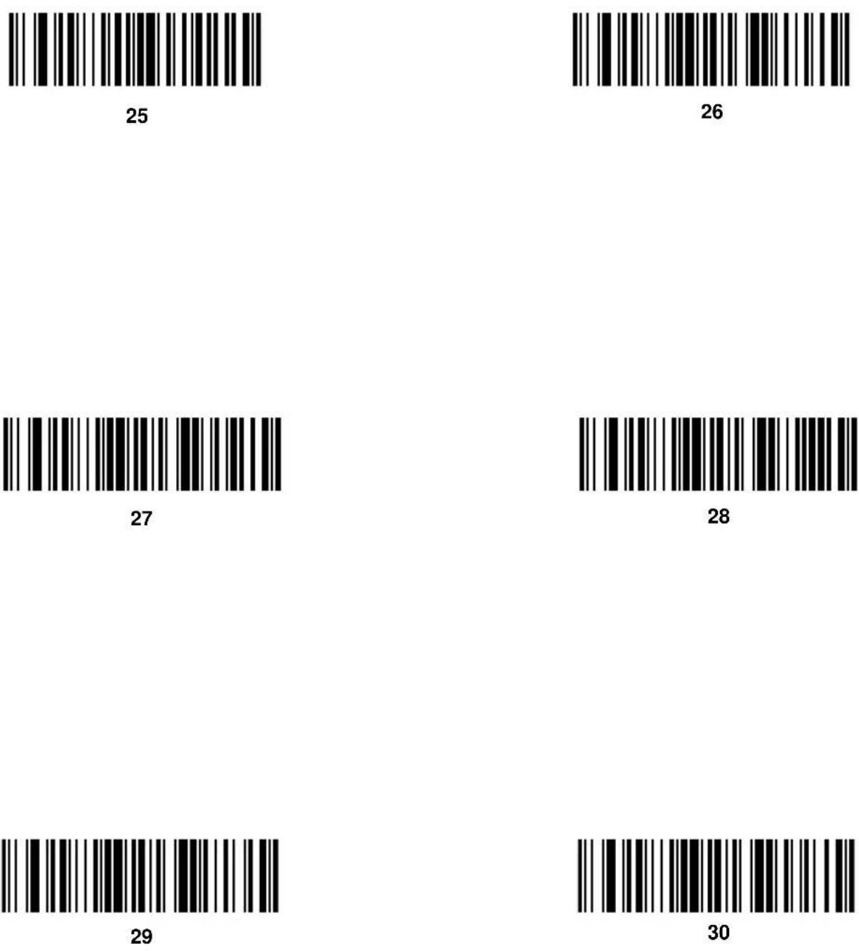 ZEBRA Cyclone M2007 - Code Lengths - 26