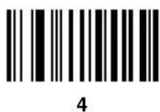 ZEBRA Cyclone M2007 - Numeric Keypad - 6