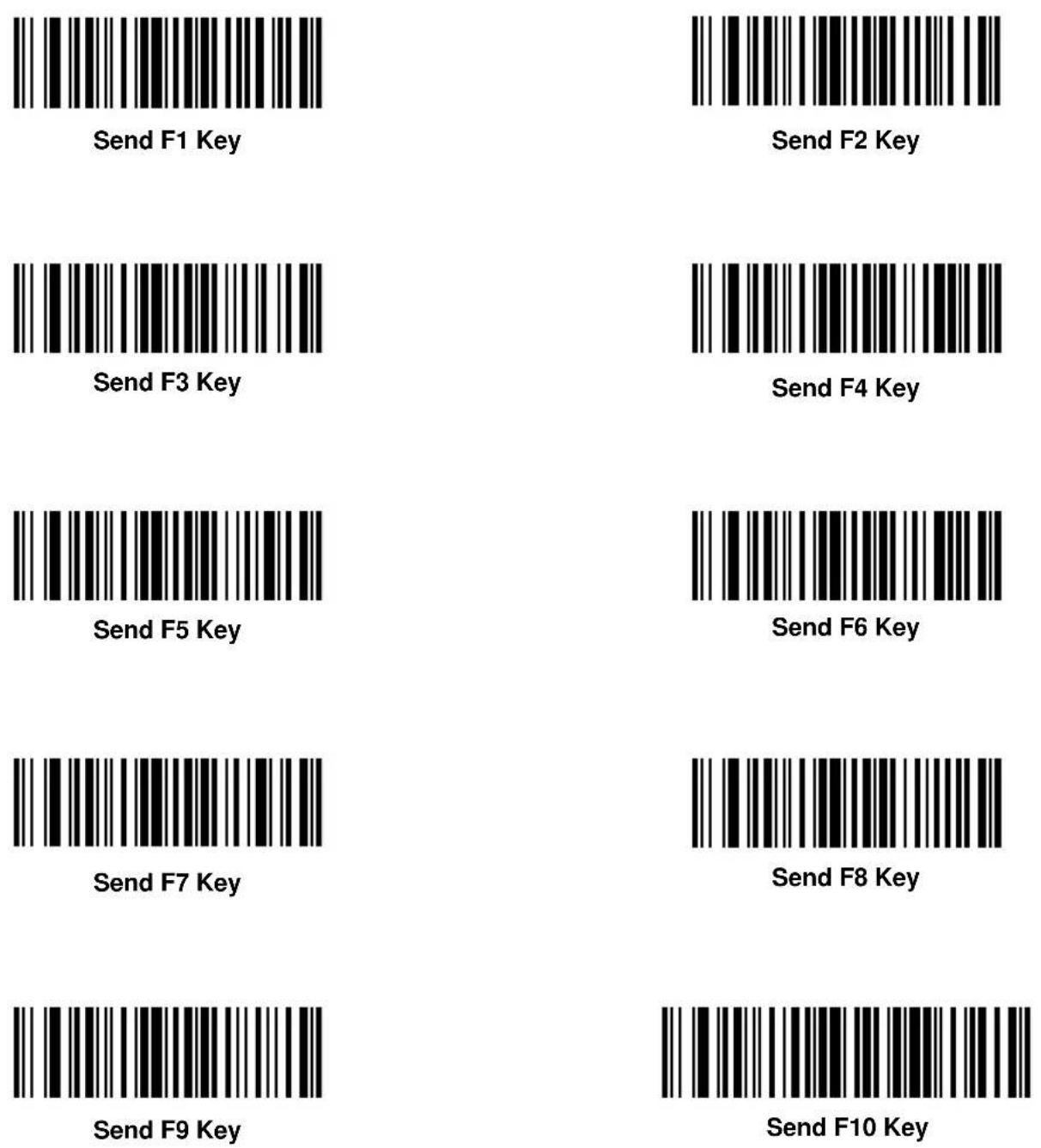 ZEBRA Cyclone M2007 - Send Keypad Characters (continued) - 20