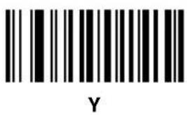 Y