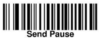Send Pause
