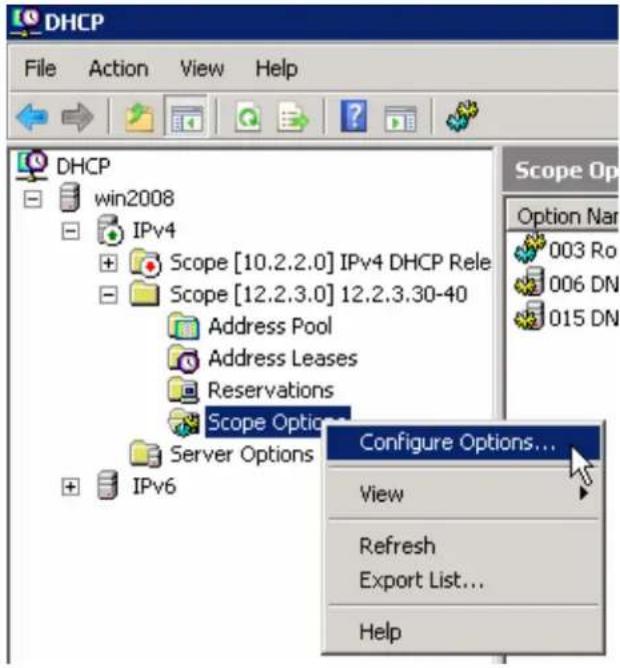 DHCP File Action View Help DHCP win2008 IPv4 Scope [10.2.2.0] IPv4 DHCP Rele Scope [12.2.3.0] 12.2.3.30-40 Address Pool Address Leases Reservations Scope Options... Server Options IPv6 Configure Options... View Refresh Export List... Help