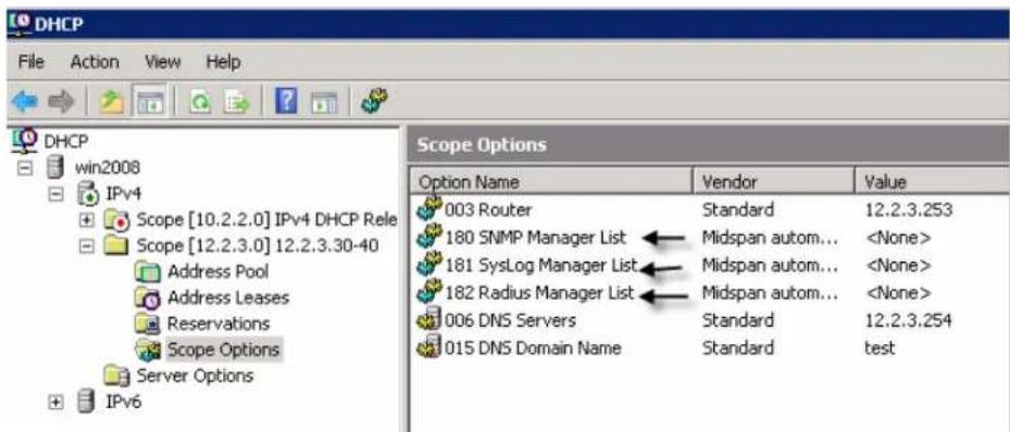 DHCP File Action View Help DHCP win2008 IPv4 Scope [10.2.2.0] IPv4 DHCP Rele Scope [12.2.3.0] 12.2.3.30-40 Address Pool Address Leases Reservations Scope Options Server Options IPv6 Scope Options Option Name Vendor Value 003 Router Standard 12.2.3.253 180 SNMP Manager List Midspan autom... 181 SysLog Manager List Midspan autom... 182 Radius Manager List Midspan autom... 006 DNS Servers Standard 12.2.3.254 015 DNS Domain Name Standard test