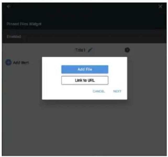 Pinsed Files Widget Enabled Title 1 Add Item Add File Link to URL CANCEL NEXT