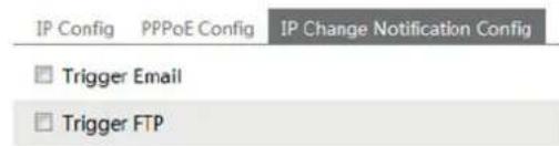 IP Config PPPoE Config IP Change Notification Config Trigger Email Trigger FTP