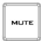 DataVideo ITC-300SL - Mute Mode - 1