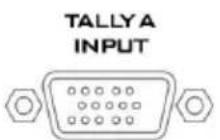 DataVideo ITC-300SL - Ethernet Port - 1