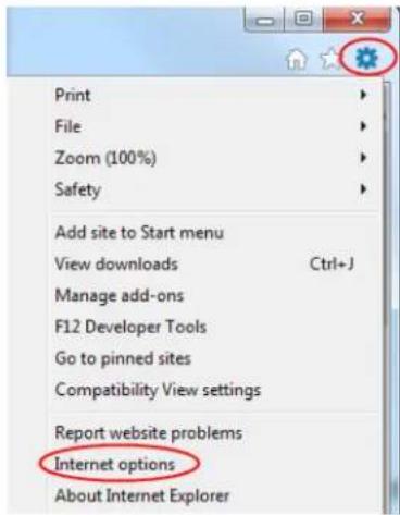 Print File Zoom (100%) Safety Add site to Start menu View downloads Ctrl+J Manage add-ons F12 Developer Tools Go to pinned sites Compatibility View settings Report website problems Internet options About Internet Explorer