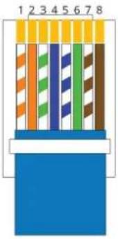 Tema AD610 - Appendix 4: Cabling of a UTP RJ45 network cable according to the standard EIA568B - 4
