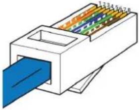 Tema AD610 - Appendix 4: Cabling of a UTP RJ45 network cable according to the standard EIA568B - 3