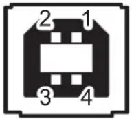 CUSTOM D4 202 - Pinout - 1