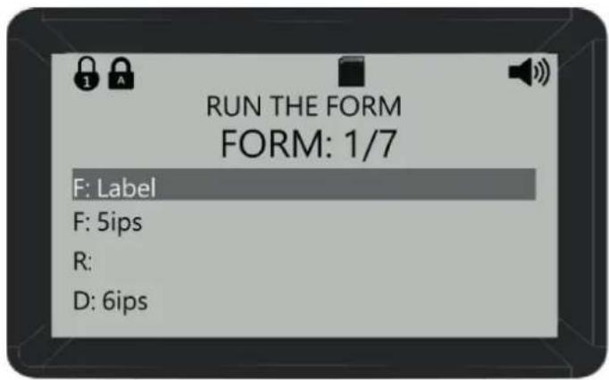 RUN THE FORM FORM: 1/7 F: Label F: 5ips R: D: 6ips