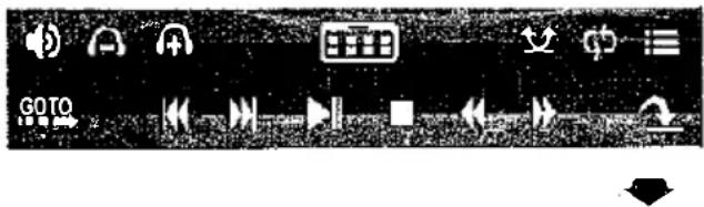 Screenshot of a software toolbar with icons for audio, video, audio playback, and navigation controls