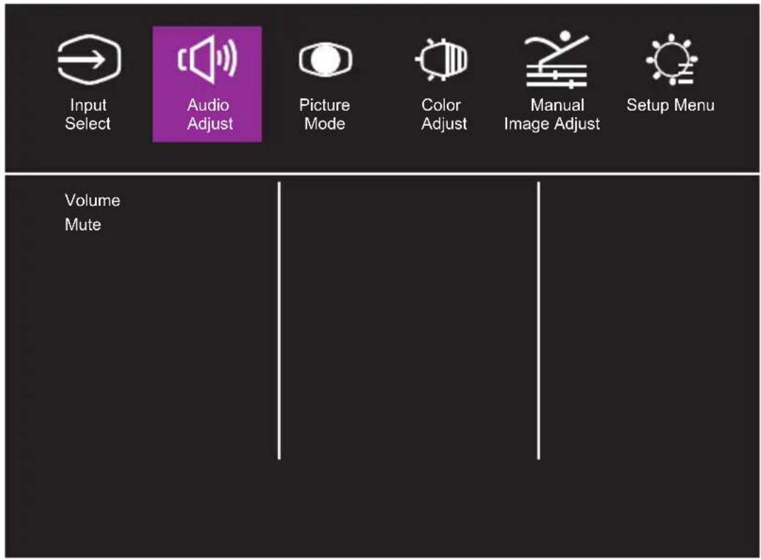 Input Select Audio Adjust Picture Mode Color Adjust Manual Image Adjust Setup Menu Volume Mute