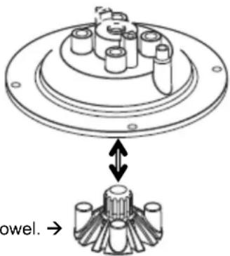 bowel. →